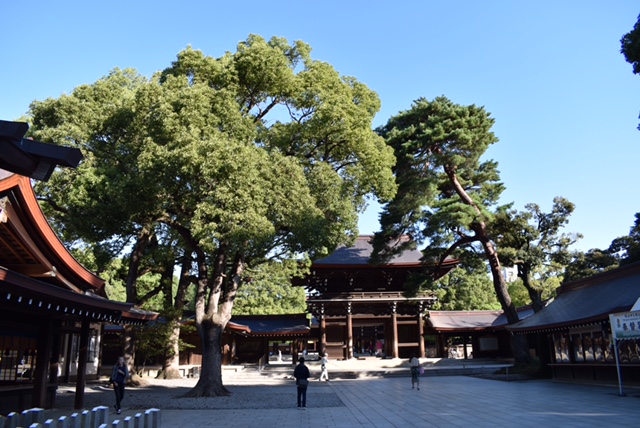 Meji Jingu shrine tokyo